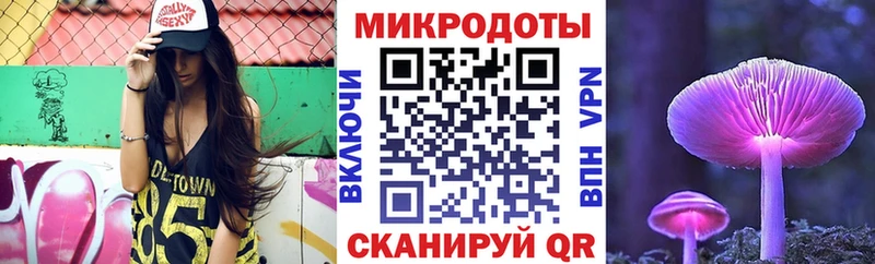 Псилоцибиновые грибы GOLDEN TEACHER  продажа наркотиков  кракен ссылки  Ачхой-Мартан 